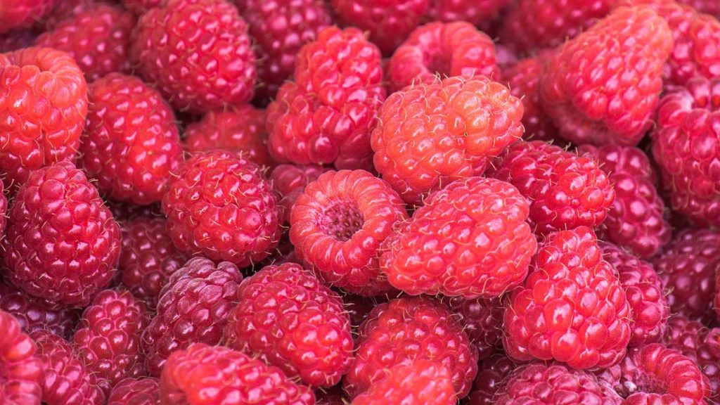 raspberries, fruits, food-3583005.jpg